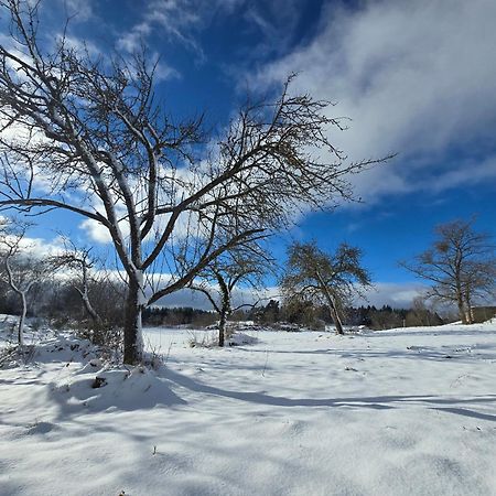 Gite La Menou Villa Usson-en-Forez Esterno foto