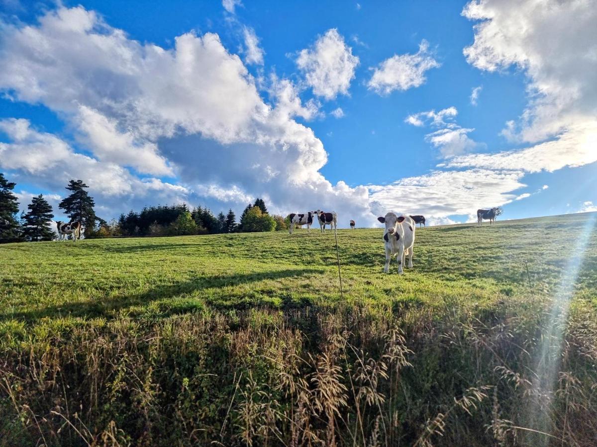 Gite La Menou Villa Usson-en-Forez Esterno foto