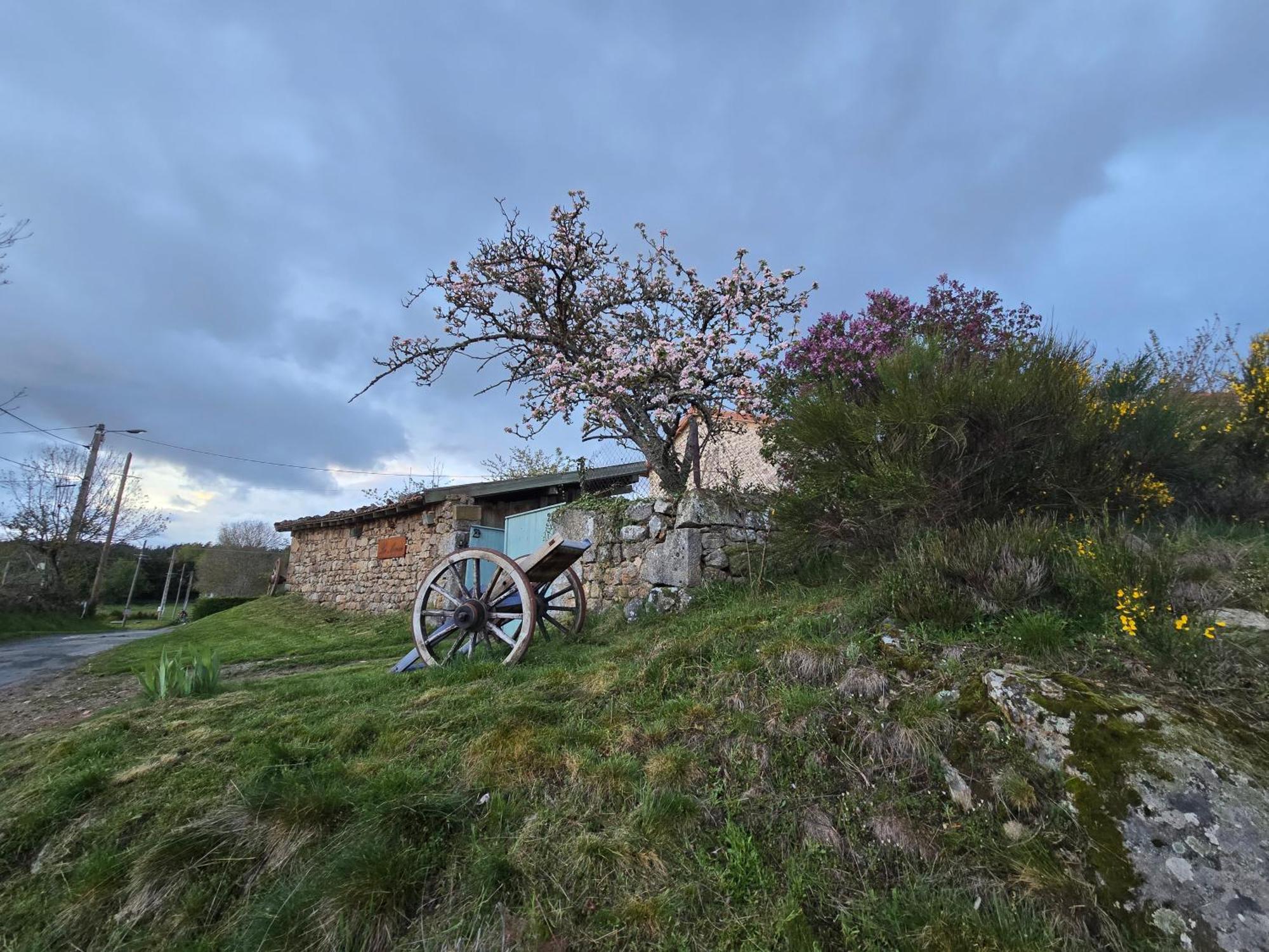 Gite La Menou Villa Usson-en-Forez Camera foto