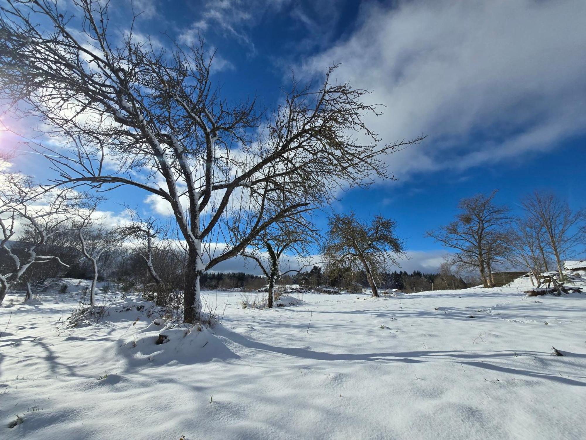 Gite La Menou Villa Usson-en-Forez Esterno foto